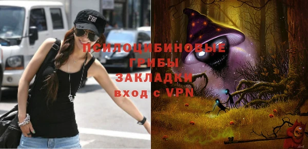 дурь Богородск