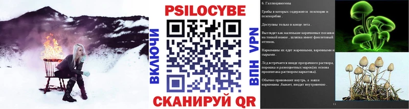 Купить  Уварово  Галлюциногенные грибы Cubensis 